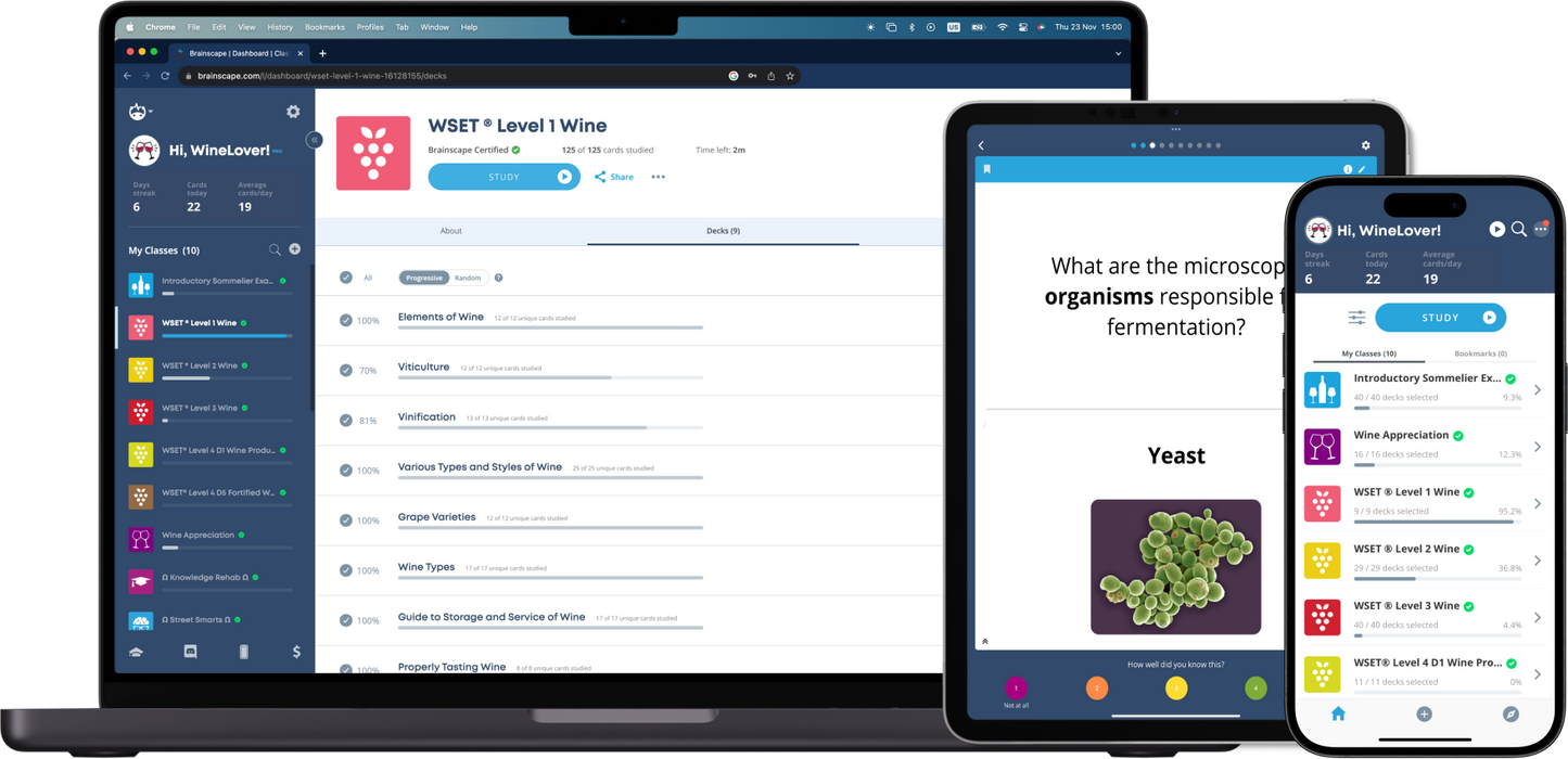 Efficient WSET Level 1 Prep