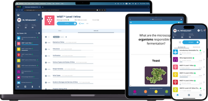 Efficient WSET Level 1 Prep
