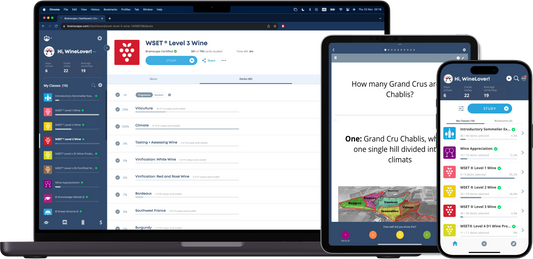 Efficient WSET Level 3 Prep