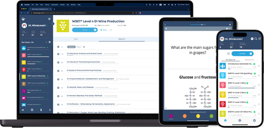 Efficient WSET Level 4 D1 Prep