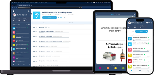 Efficient WSET Level 4 D4 Prep