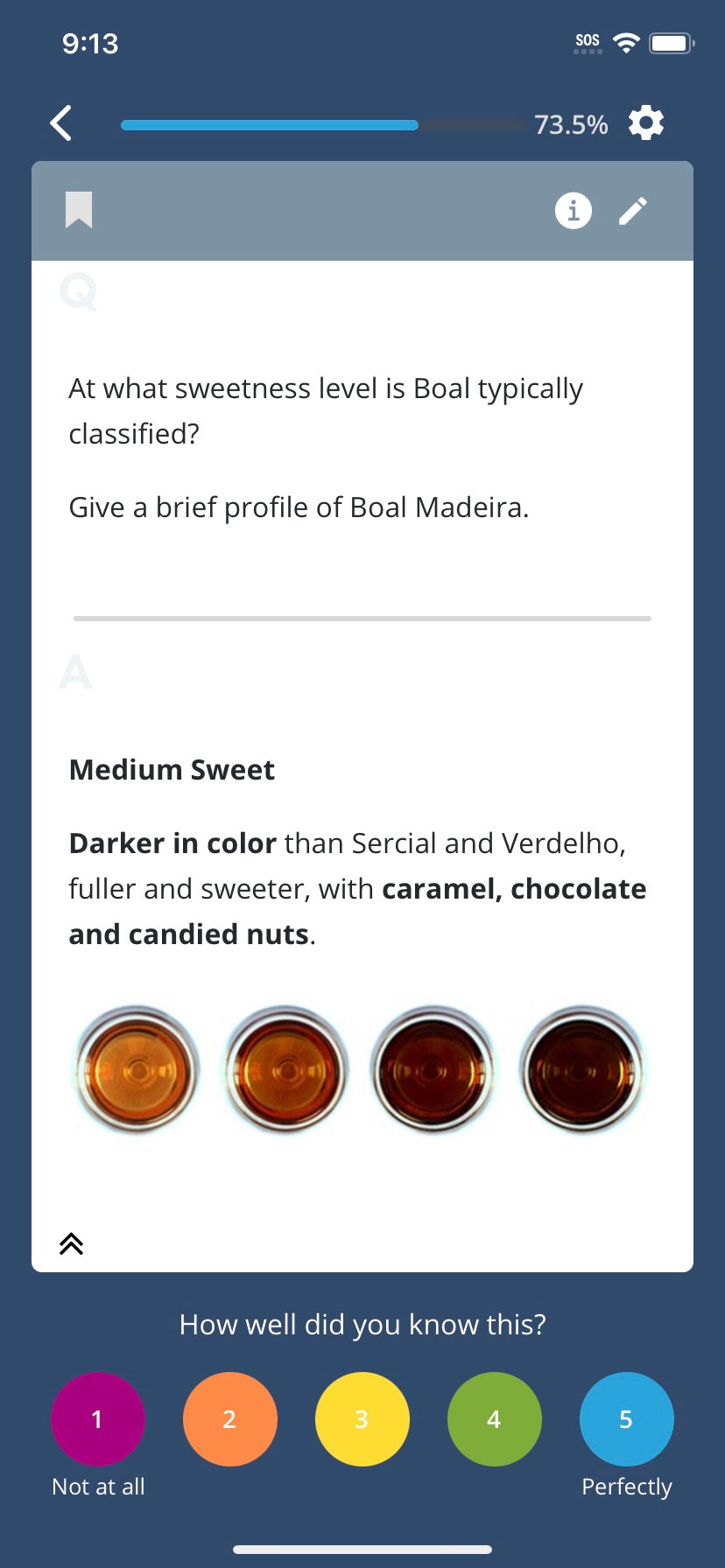 Efficient WSET Level 4 D5 Prep